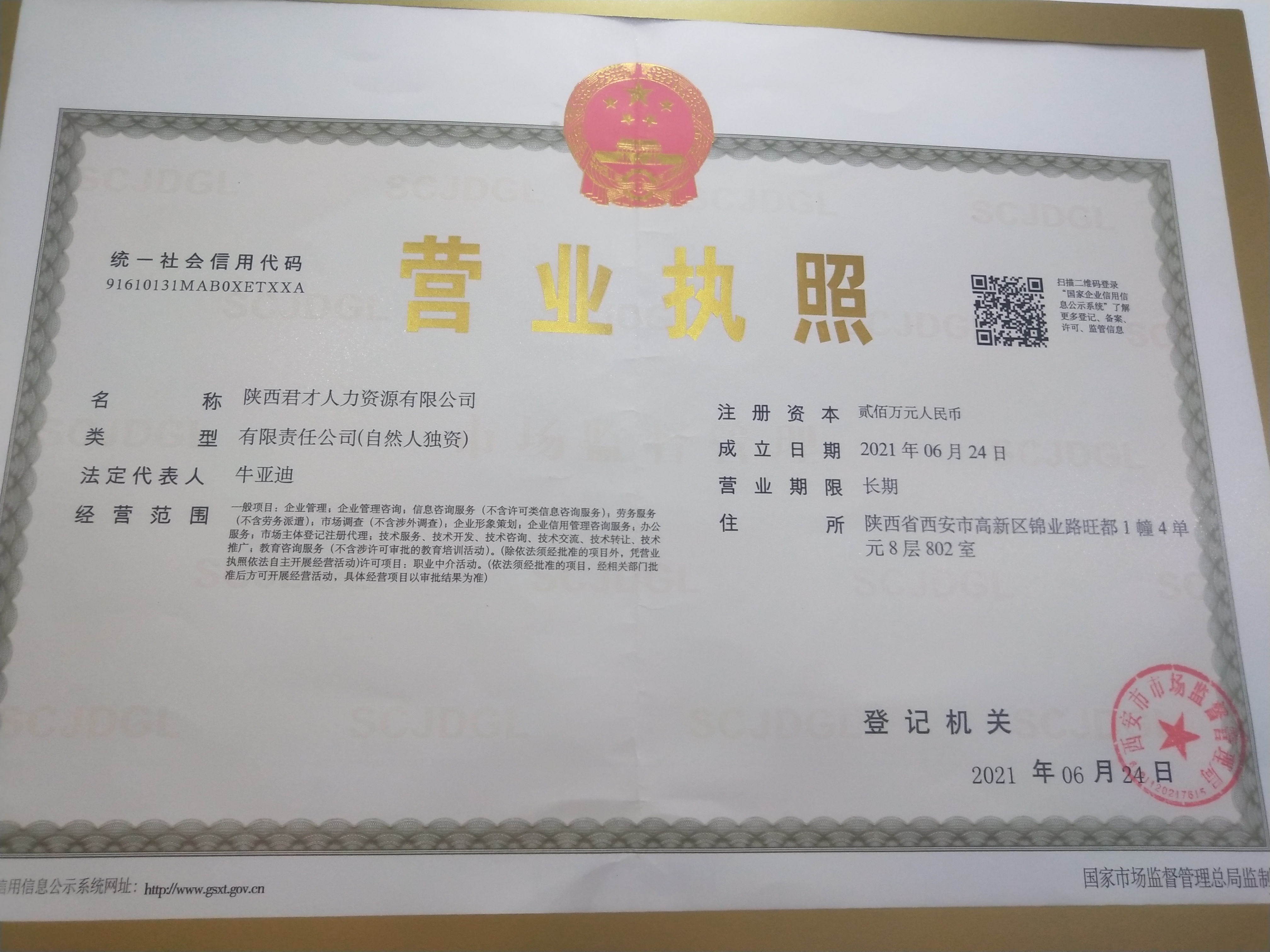 陕西人才网