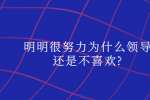 明明很努力为什么领导还是不喜欢?