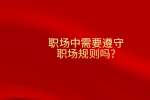 职场中需要遵守职场规则吗?