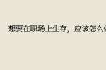 想要在职场上生存，应该怎么做?