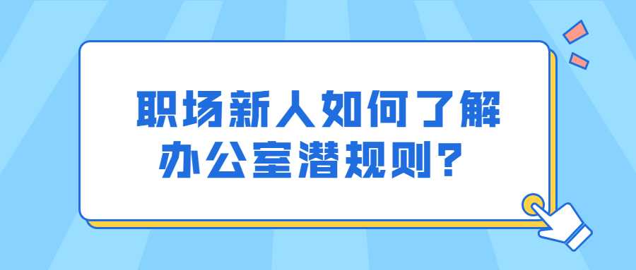 职场新人