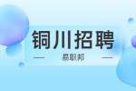 陕西铜川市新区中小学及直属学校招聘公告