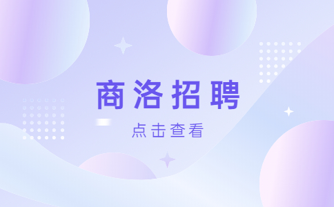 陕西商洛市洛南县招聘