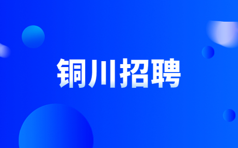 陕西铜川市乡镇级事业单位招聘