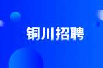 陕西铜川市乡镇级事业单位招聘统计工作人员公告