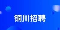 陕西铜川市乡镇级事业单位招聘统计工作人员公告
