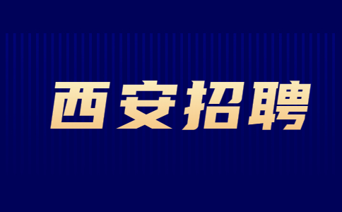 西安招聘外贸seo推广专员