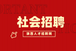 揭秘陕西职场新机遇：社会招聘中隐藏的黄金岗位