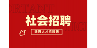 揭秘陕西职场新机遇：社会招聘中隐藏的黄金岗位