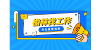 榆林新能源企业招聘安全主管一名