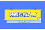 陕西专技人才的定义是什么？