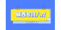 陕西专技人才的定义是什么？