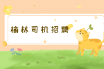 榆林公交车司机招聘条件有哪些？