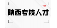 陕西专技人才有什么政策补贴吗？