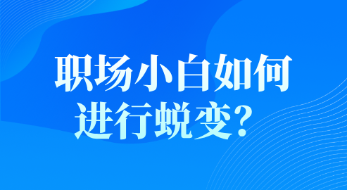 职场小白如何进行蜕变？